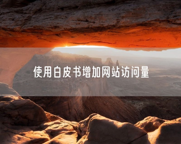 使用白皮书增加网站访问量