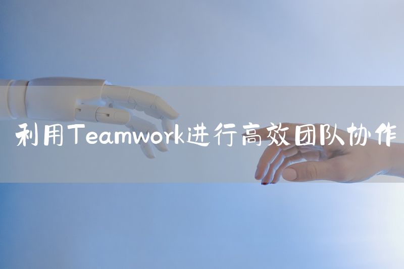 利用Teamwork进行高效团队协作