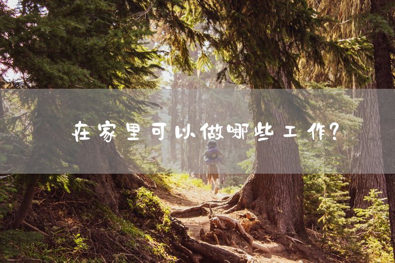 在家里可以做哪些工作？