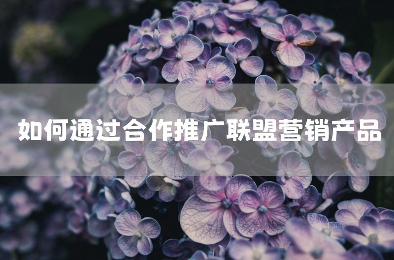 如何通过合作推广联盟营销产品
