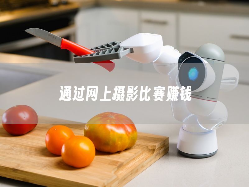 通过网上摄影比赛赚钱