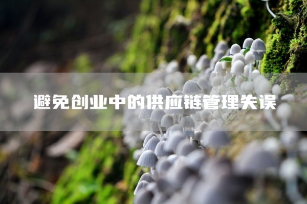 避免创业中的供应链管理失误