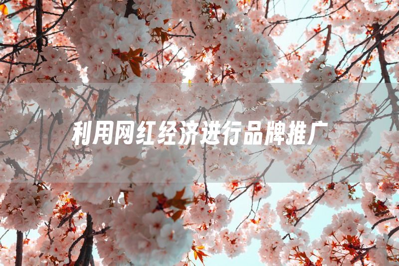 利用网红经济进行品牌推广