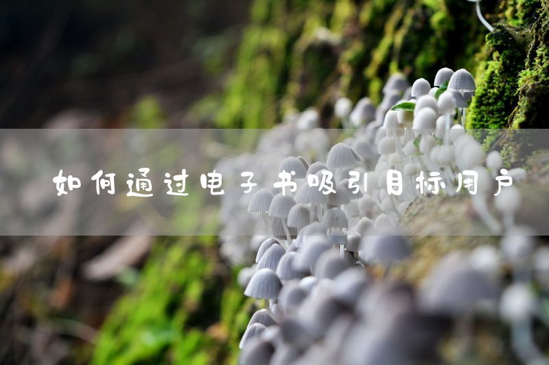 如何通过电子书吸引目标用户