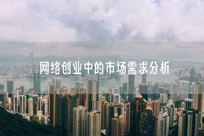 网络创业中的市场需求分析