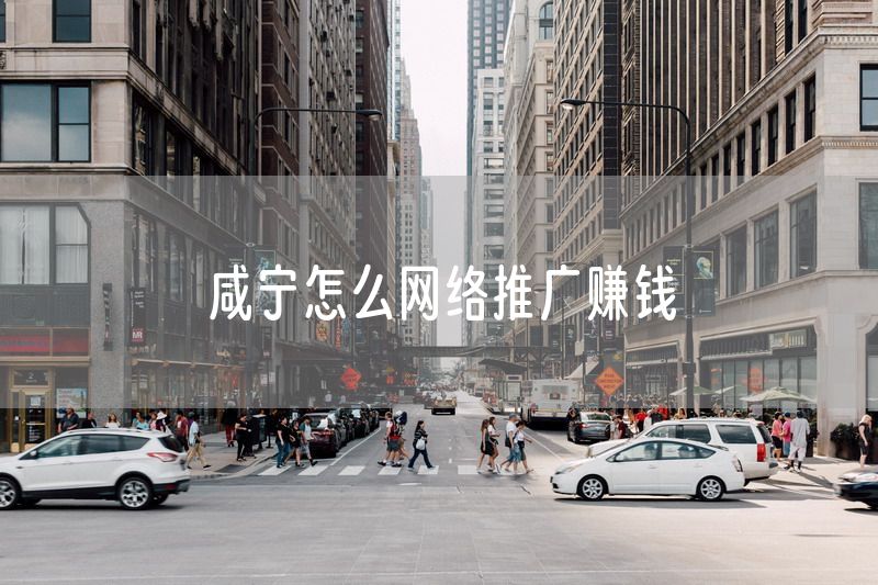 咸宁怎么网络推广赚钱
