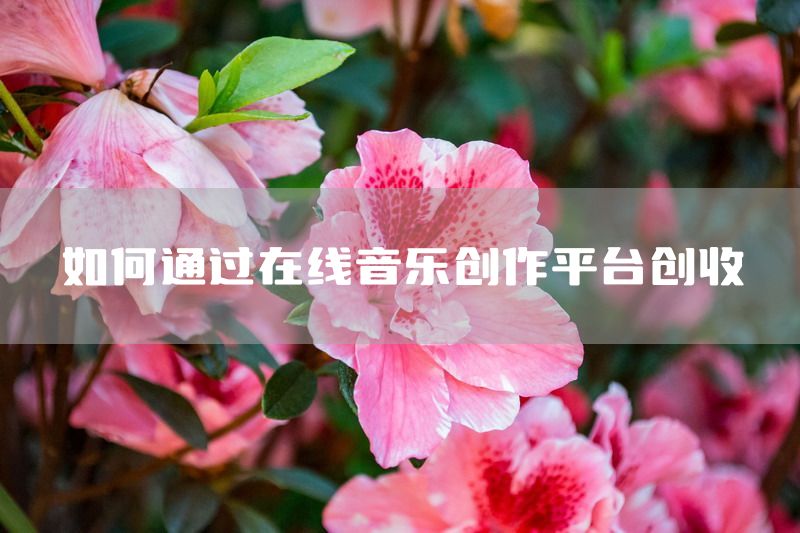 如何通过在线音乐创作平台创收