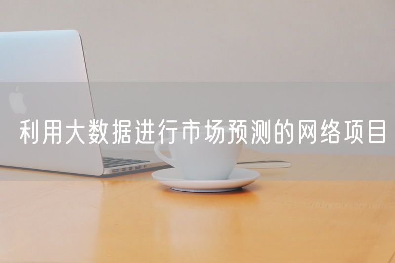 利用大数据进行市场预测的网络项目
