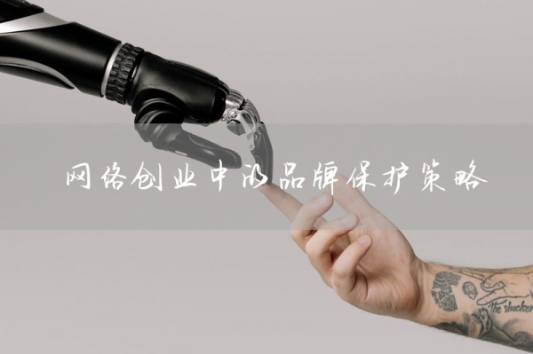 网络创业中的品牌保护策略