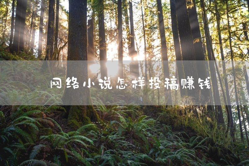 网络小说怎样投稿赚钱