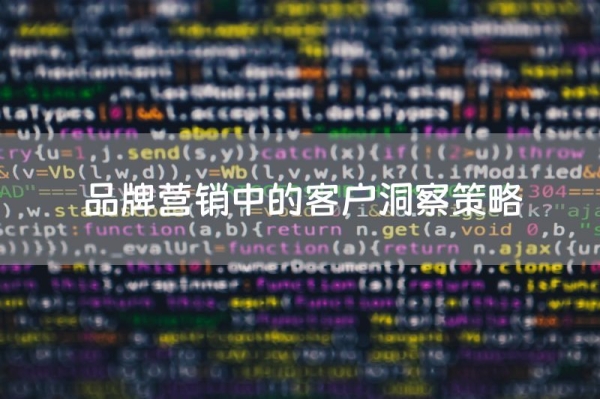 品牌营销中的客户洞察策略