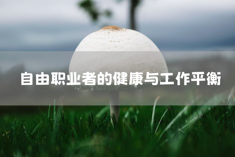 自由职业者的健康与工作平衡