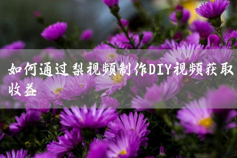 如何通过梨视频制作DIY视频获取收益