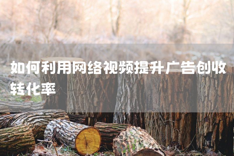 如何利用网络视频提升广告创收转化率