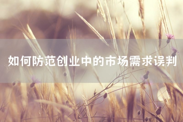 如何防范创业中的市场需求误判