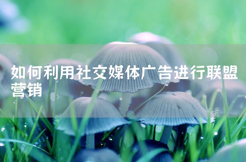 如何利用社交媒体广告进行联盟营销
