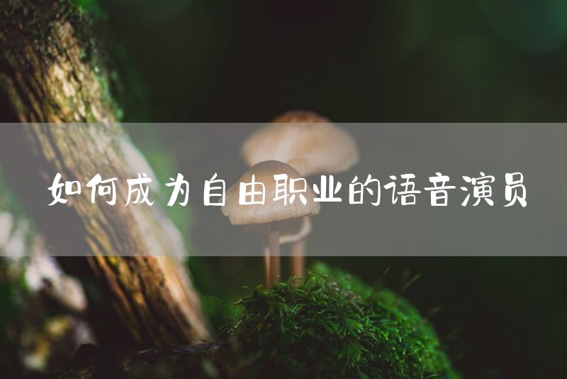 如何成为自由职业的语音演员