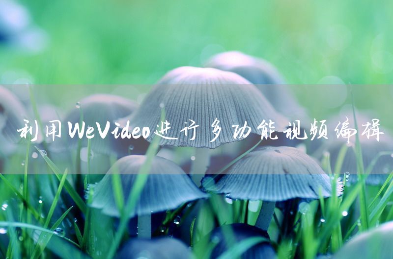 利用WeVideo进行多功能视频编辑