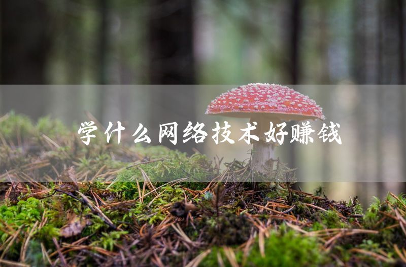 学什么网络技术好赚钱