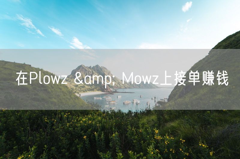 在Plowz & Mowz上接单赚钱