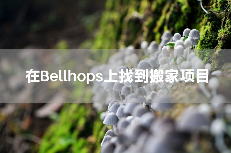 在Bellhops上找到搬家项目