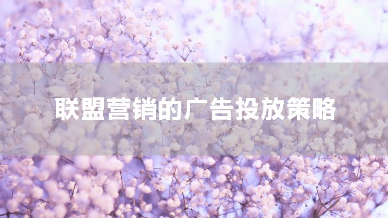 联盟营销的广告投放策略