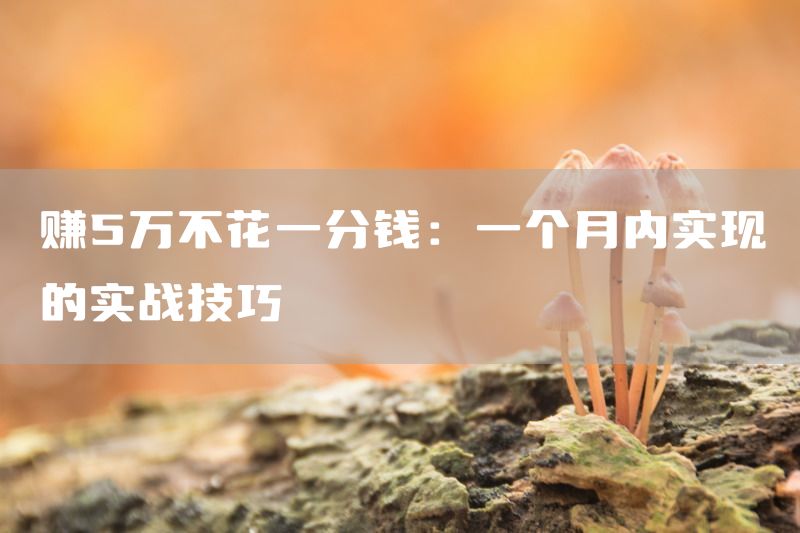 赚5万不花一分钱：一个月内实现的实战技巧