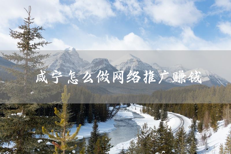 咸宁怎么做网络推广赚钱