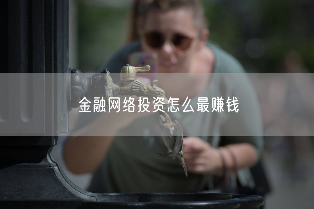 金融网络投资怎么最赚钱