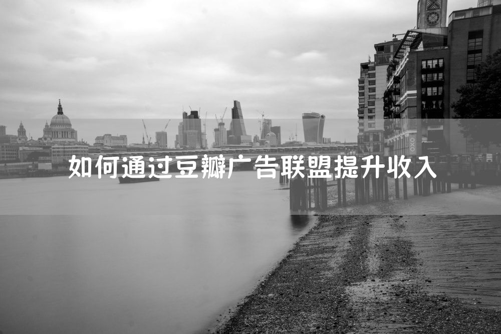 如何通过豆瓣广告联盟提升收入