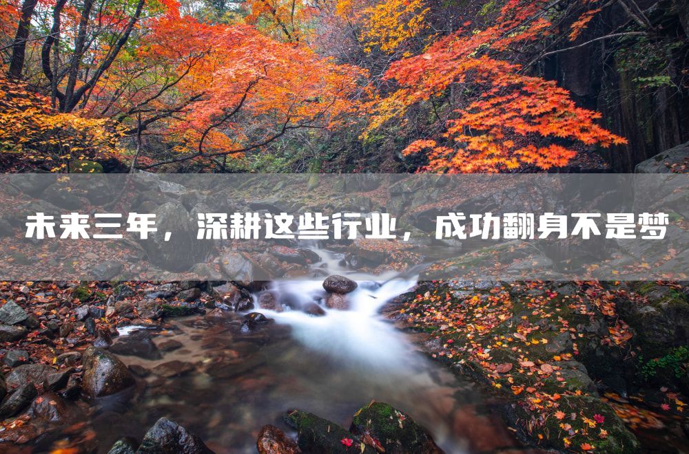 未来三年，深耕这些行业，成功翻身不是梦