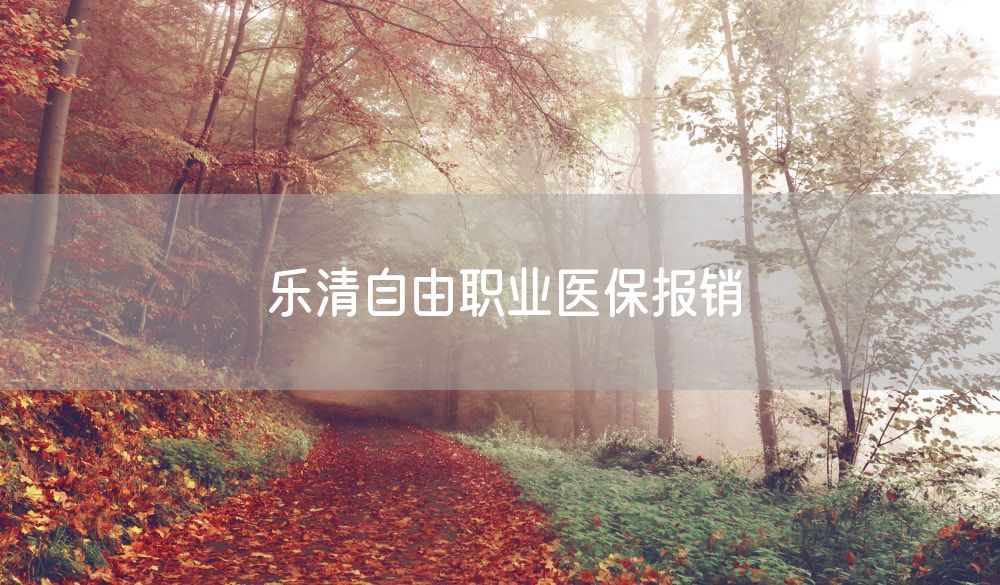 乐清自由职业医保报销