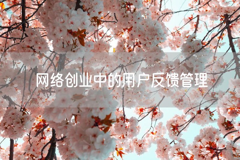 网络创业中的用户反馈管理