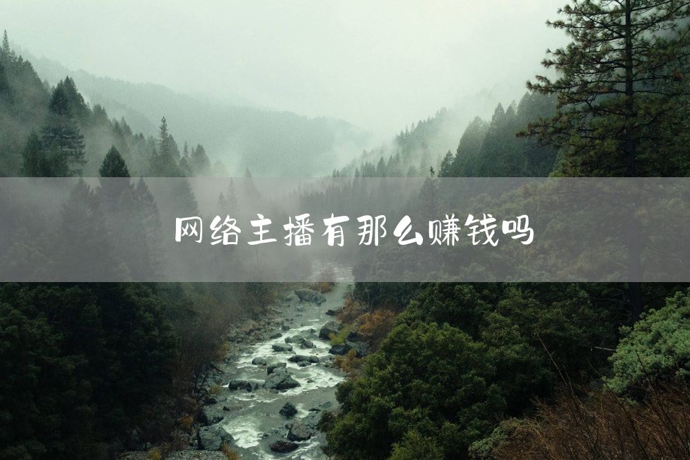 网络主播有那么赚钱吗