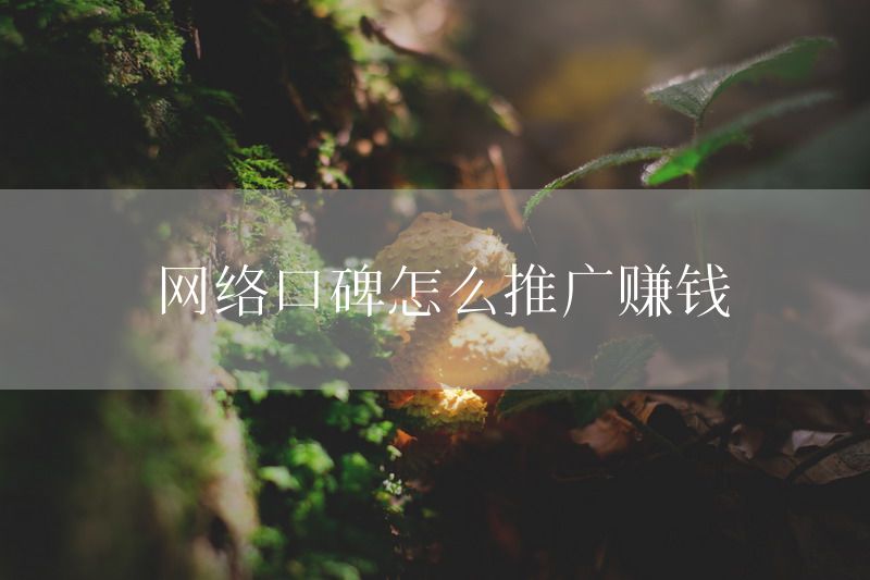 网络口碑怎么推广赚钱