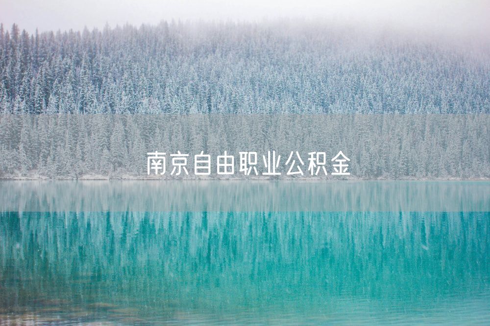 南京自由职业公积金
