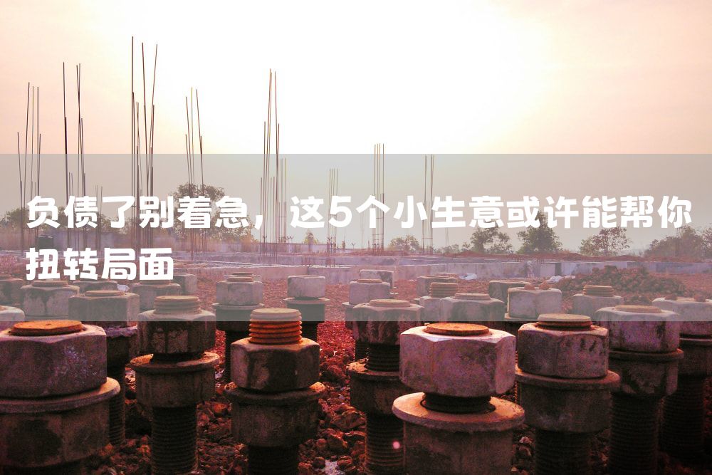 负债了别着急，这5个小生意或许能帮你扭转局面