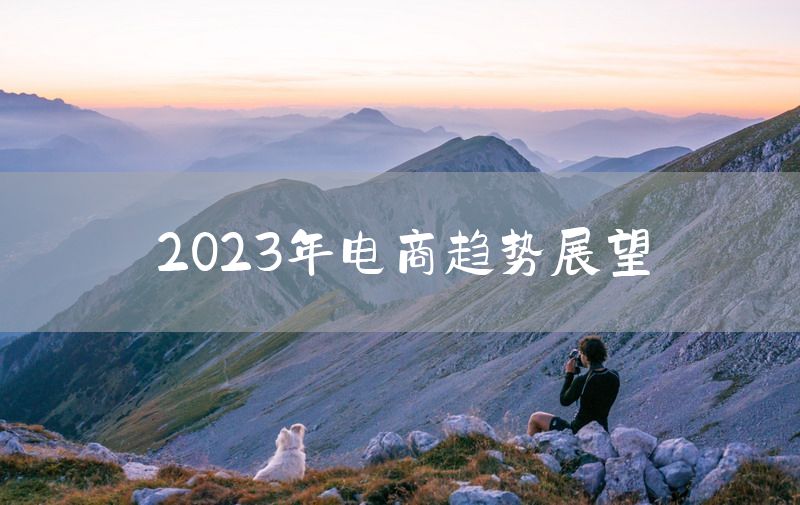 2023年电商趋势展望