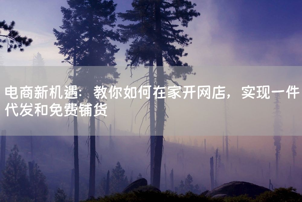 电商新机遇：教你如何在家开网店，实现一件代发和免费铺货