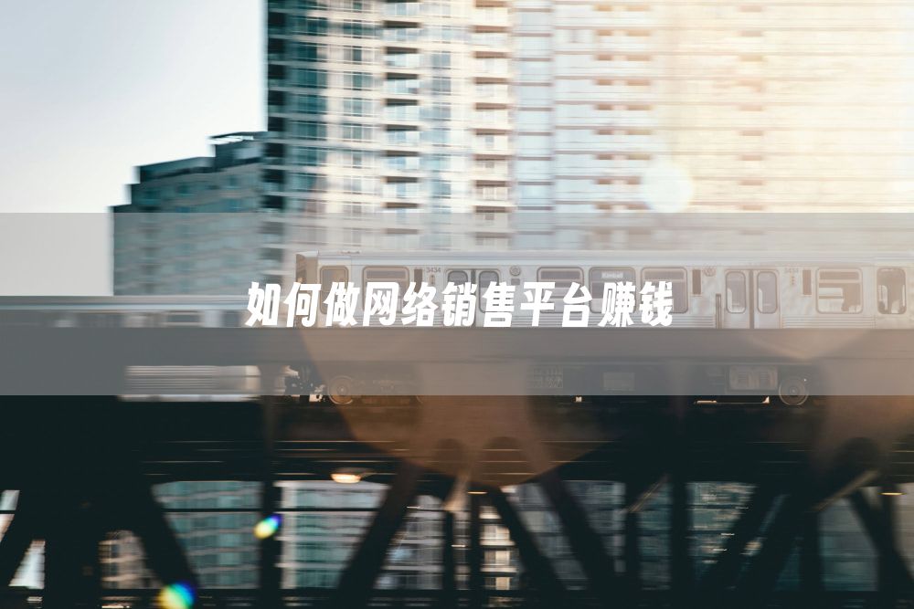 如何做网络销售平台赚钱