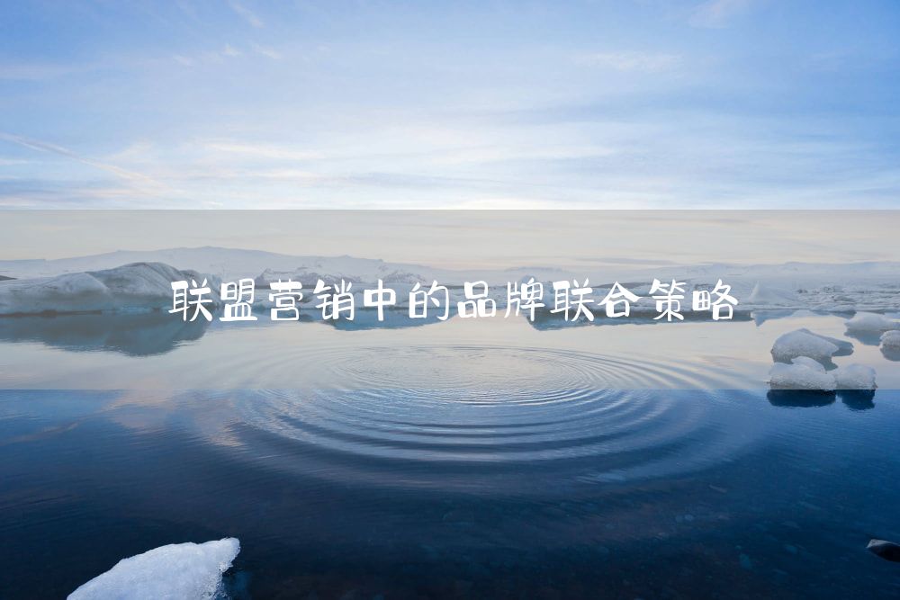 联盟营销中的品牌联合策略