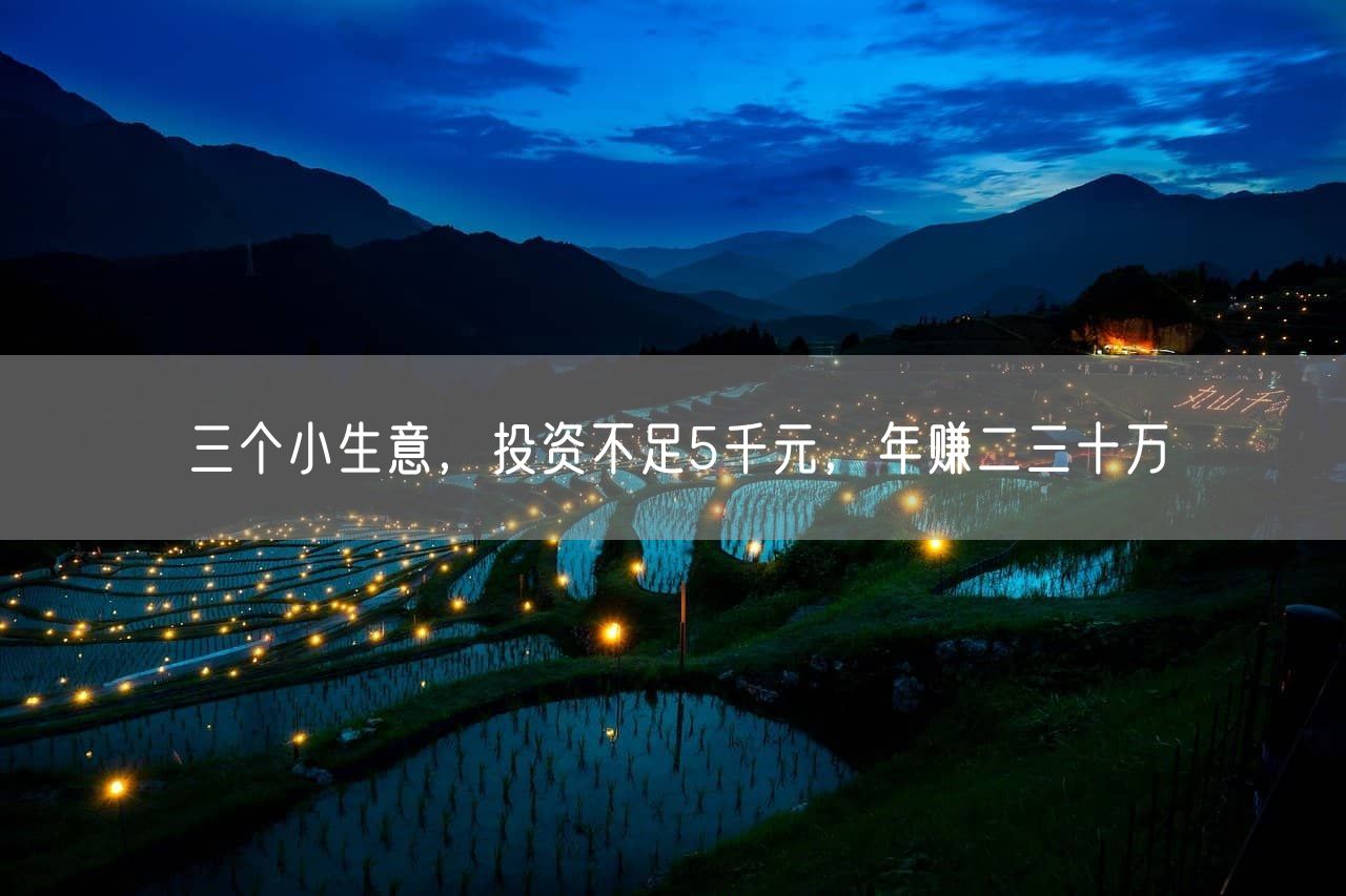 三个小生意，投资不足5千元，年赚二三十万
