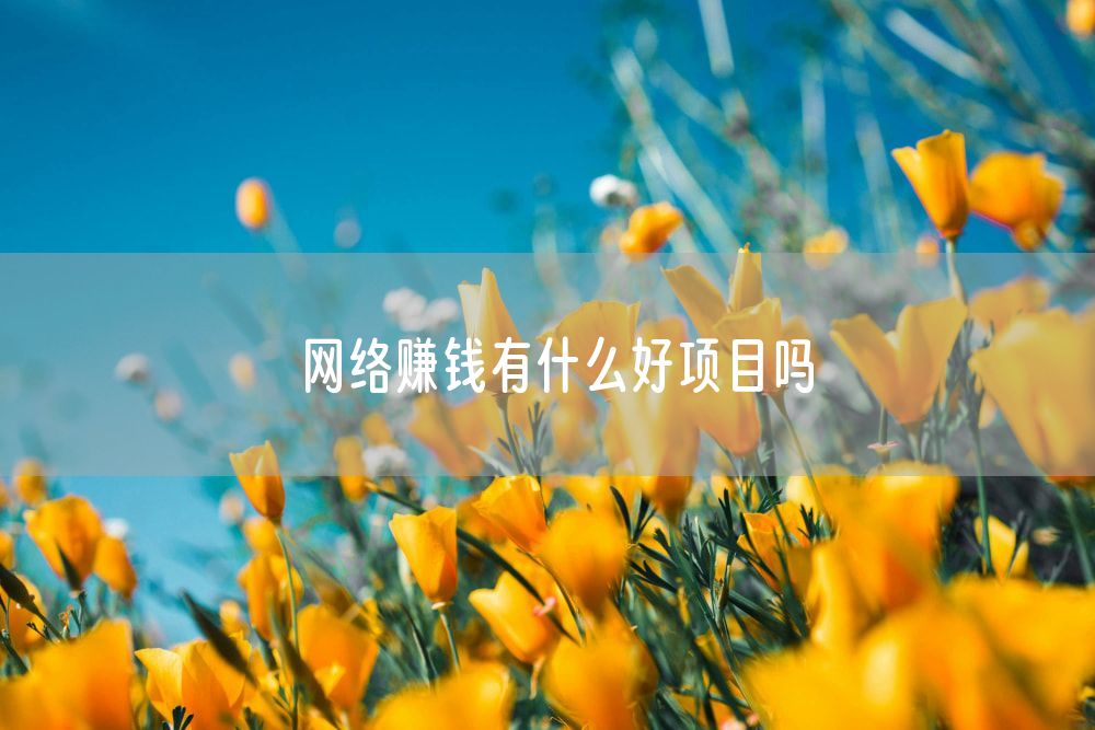 网络赚钱有什么好项目吗