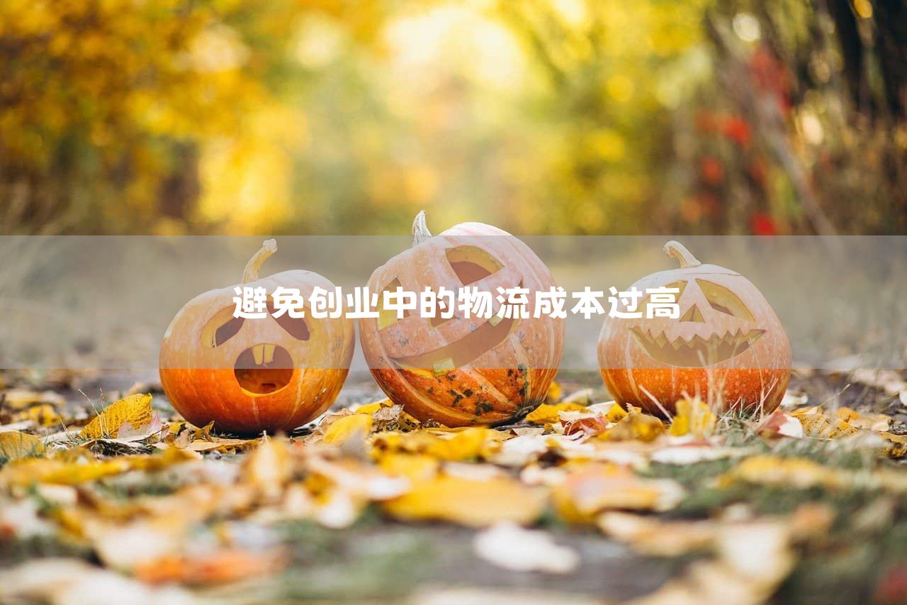 避免创业中的物流成本过高