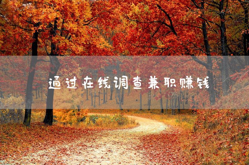 通过在线调查兼职赚钱