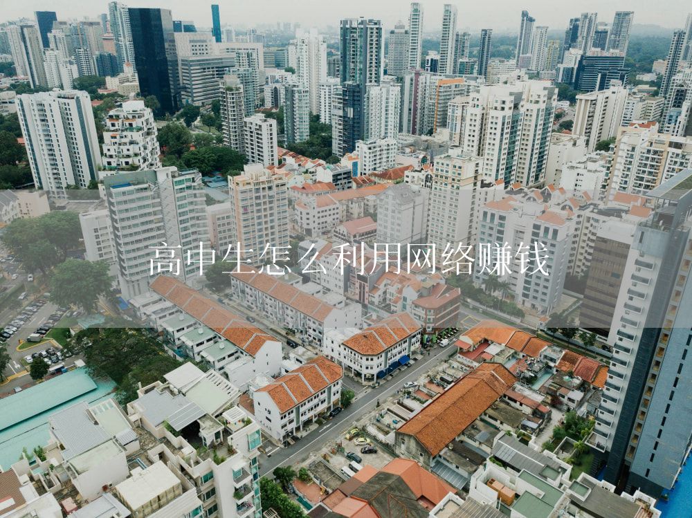 高中生怎么利用网络赚钱