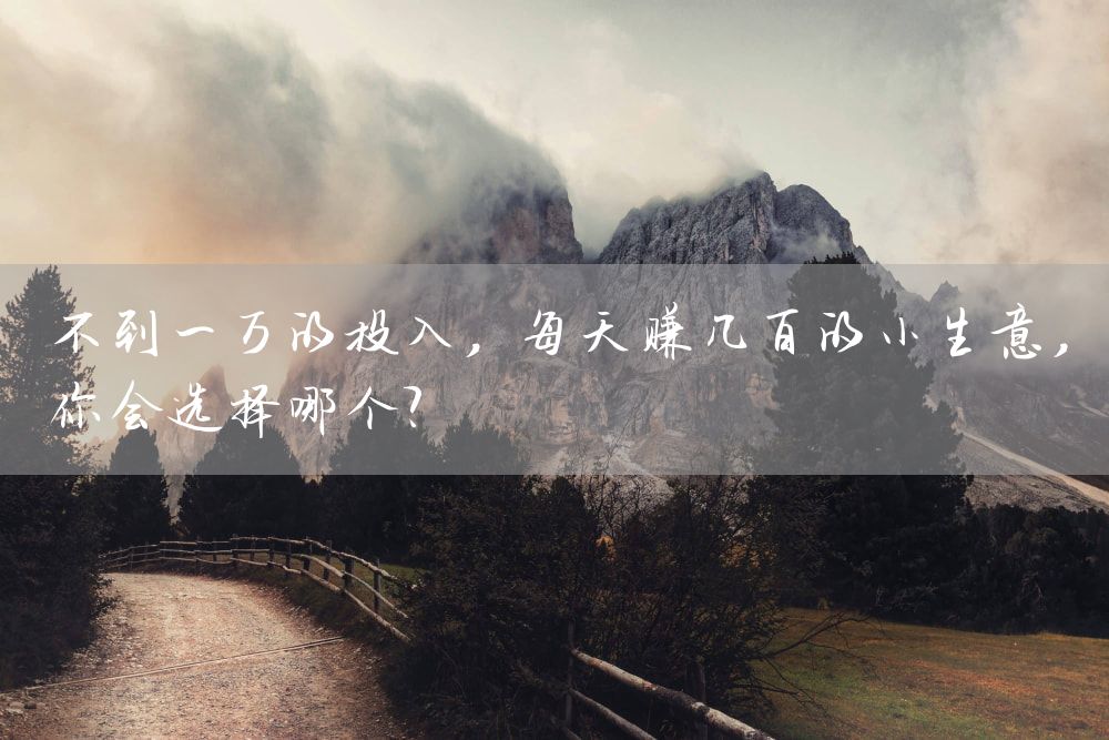 不到一万的投入，每天赚几百的小生意，你会选择哪个？