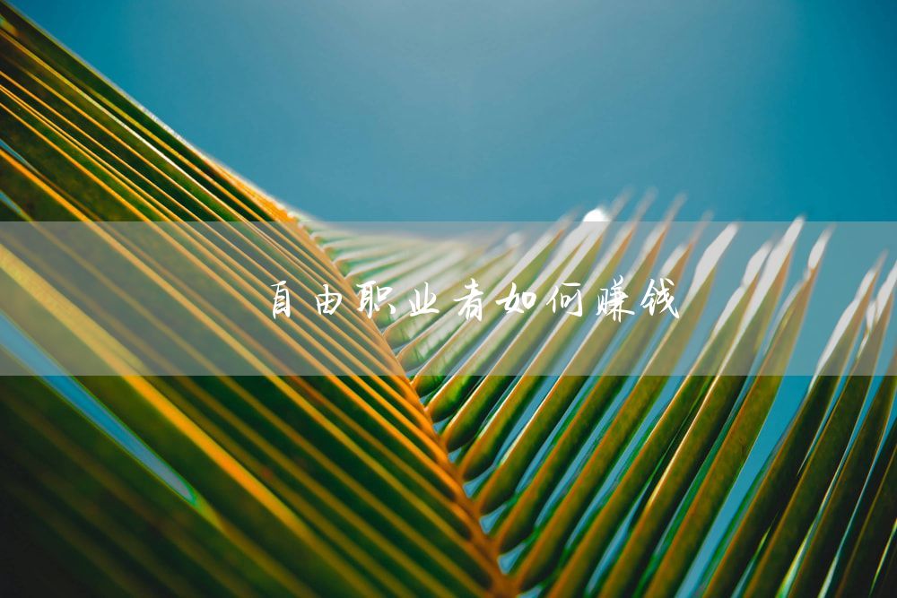 自由职业者如何赚钱
