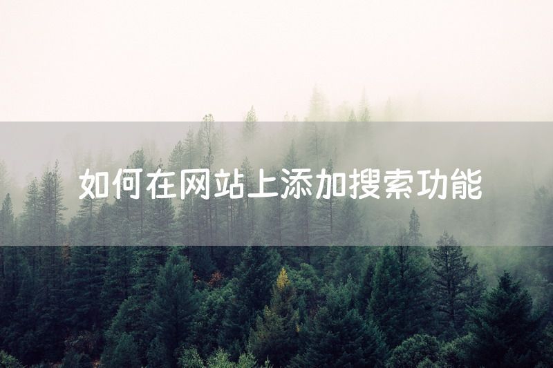 如何在网站上添加搜索功能