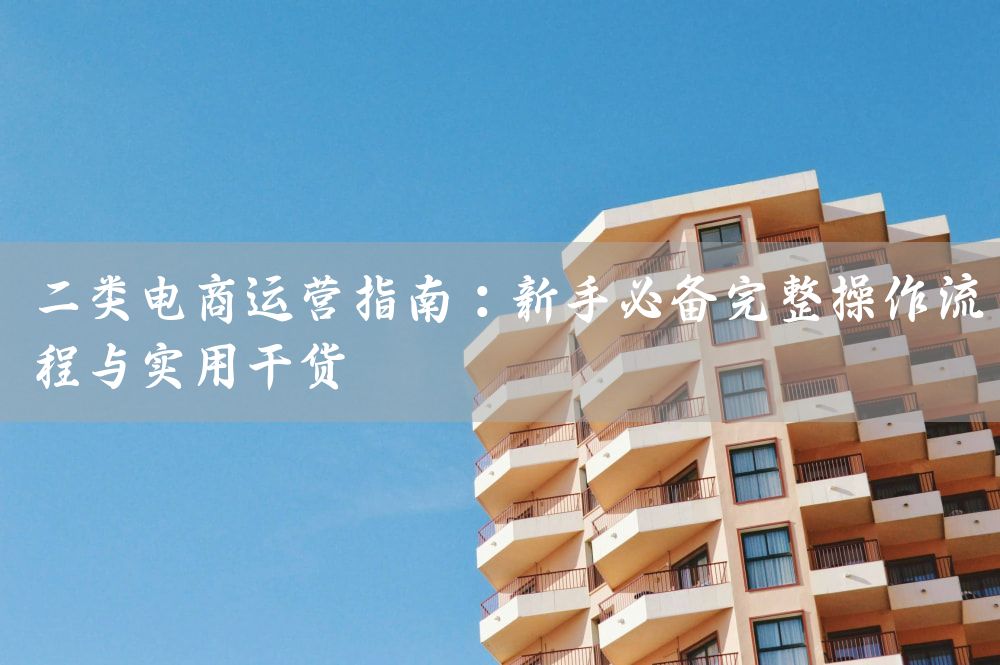 二类电商运营指南：新手必备完整操作流程与实用干货
